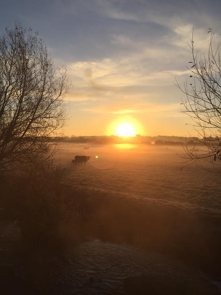 15095660_10157888790170604_5398773175768985477_n