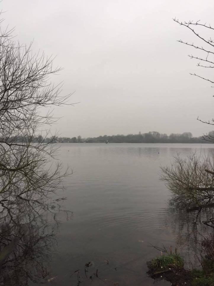 16735584_10158343333960604_624073521_o