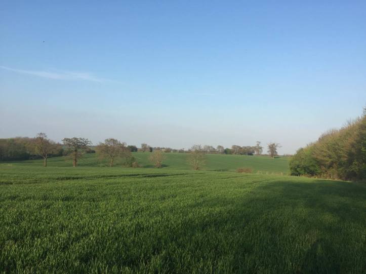 17820275_10158620114380604_1020549867_o