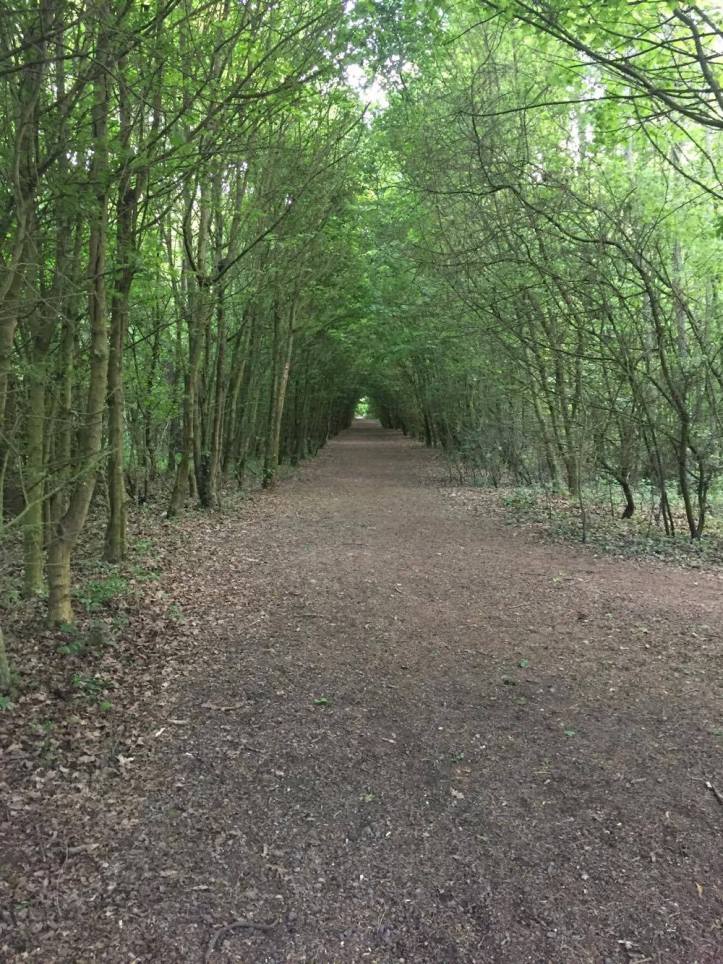 18472286_10158797431530604_569994814_o