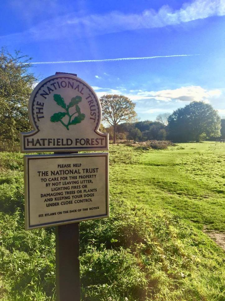 22882370_10159647450090604_1565075162_o