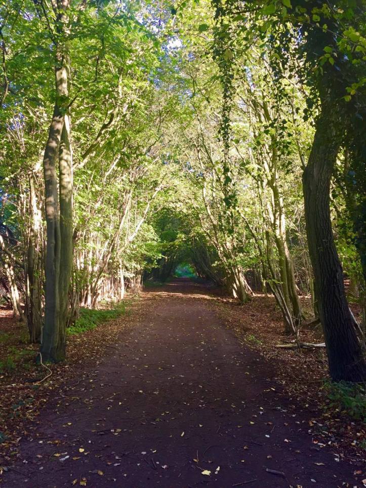 22883808_10159647449935604_2134801894_o