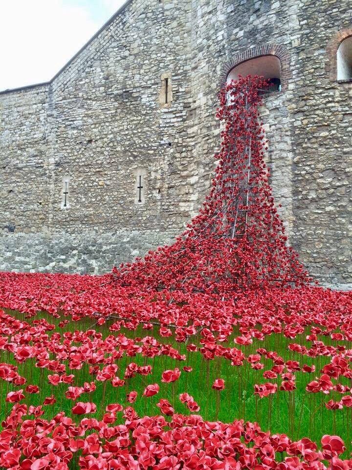 23364985_10159698049860604_1834741411_n