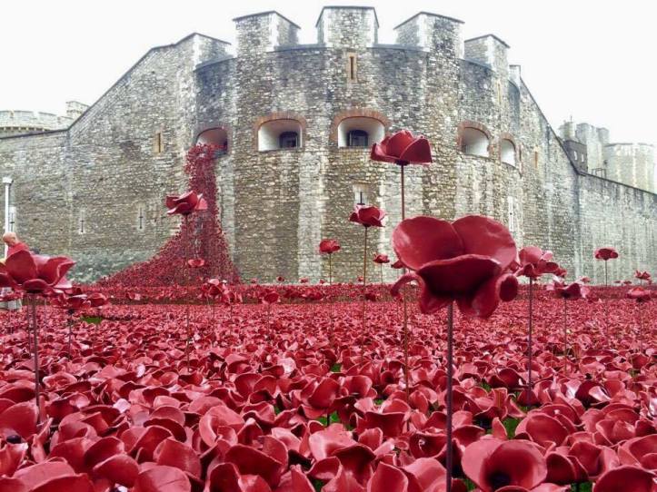 23365112_10159698049870604_114292499_n