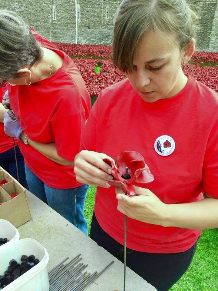 23416286_10159698049945604_1676537897_n