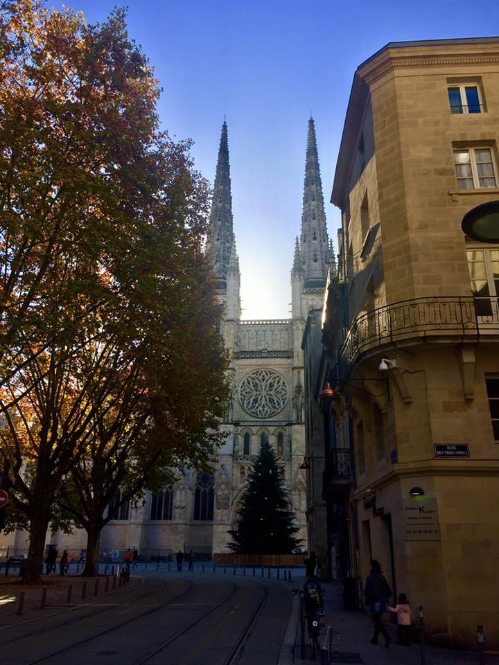 23844821_10159786477570604_5254815801243496308_n