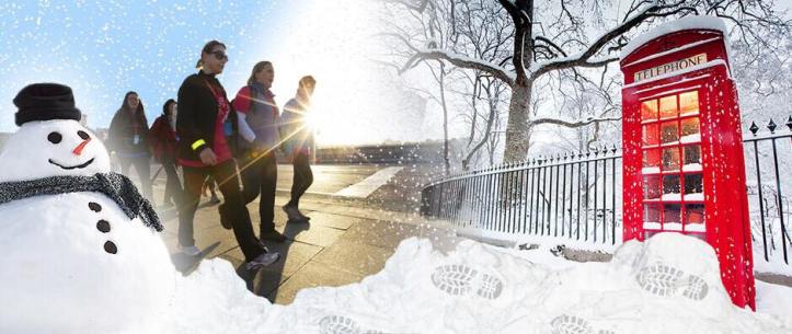 26134917_10159932730940604_1371943538_n