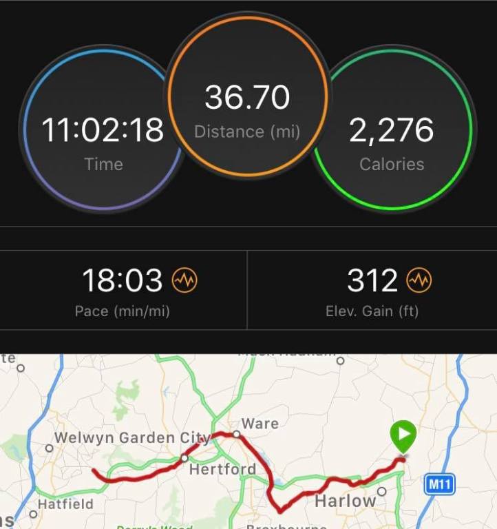 30708812_10160445538700604_354904941648674816_n