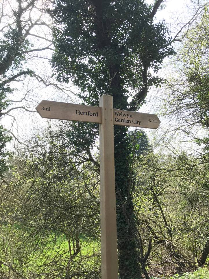 30740191_10160445517790604_5290713295588687872_n