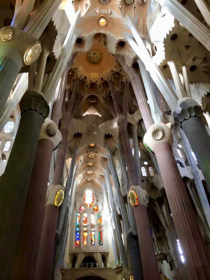 31394367_10160483143880604_8563568543684100096_n