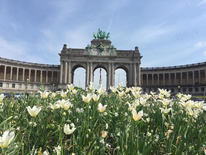 13173785_10156996568090604_4719471565880316866_n