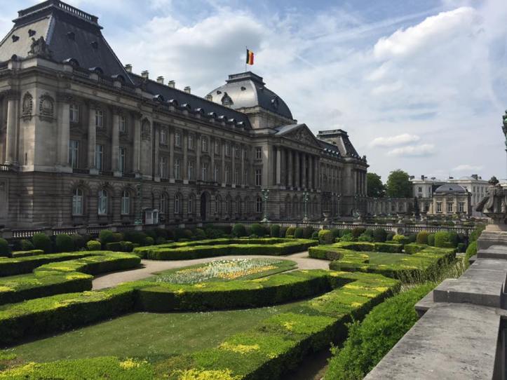 13173815_10156996567520604_6233835229447234168_n