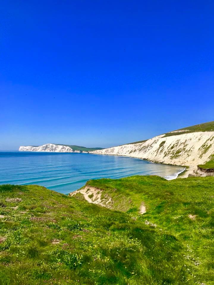 31947076_10160522242095604_94895043252322304_n