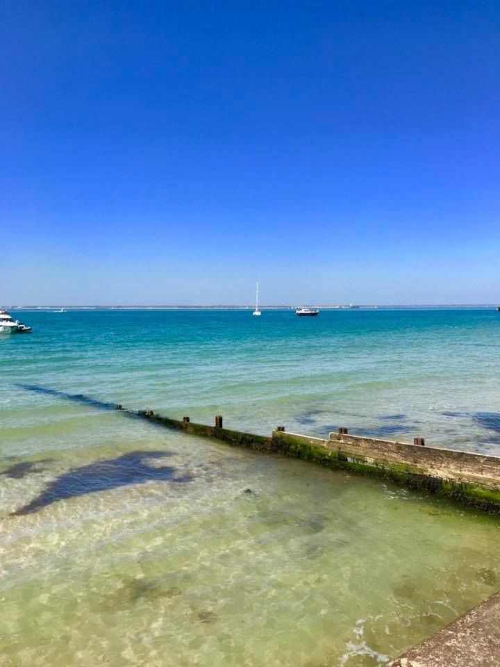 31947537_10160522242165604_5480506783707430912_n