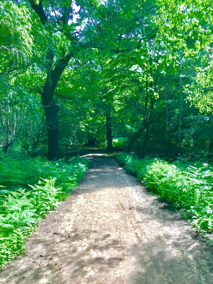 44744920_261566624543462_8350608702050402304_n