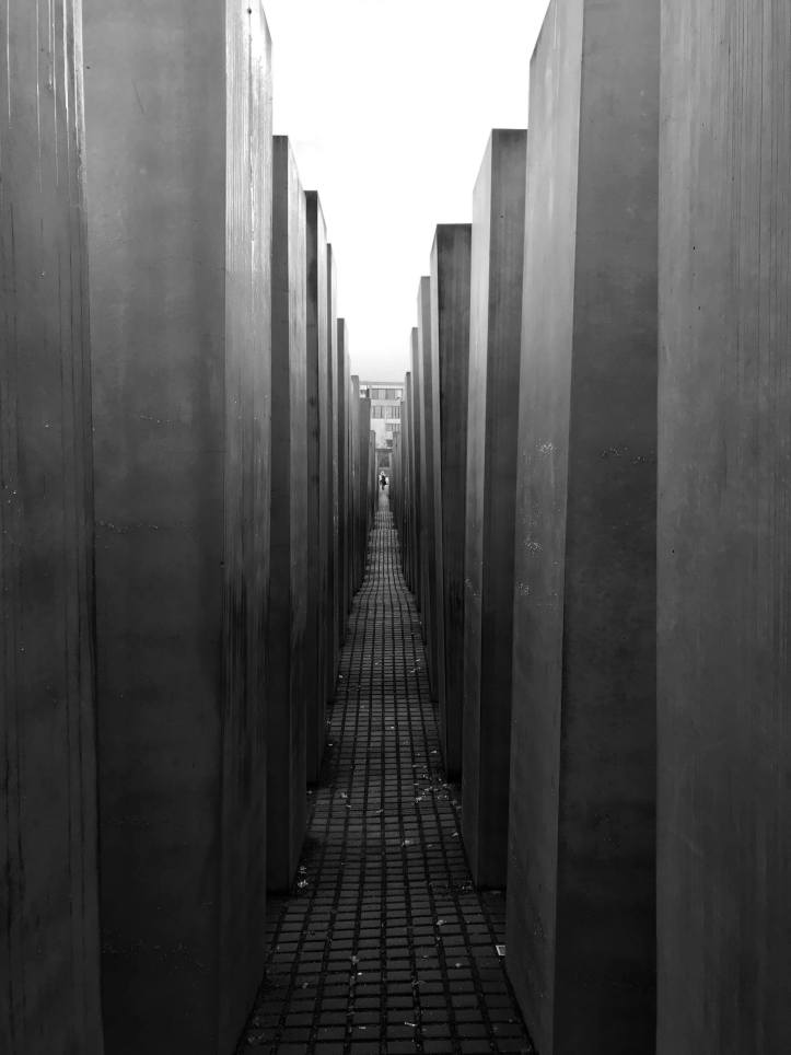 50285519_751069781934249_7473094222883586048_n (1)