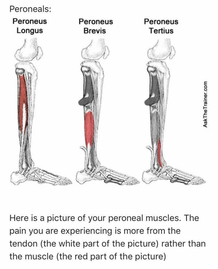 50976833_1852309901547179_2117648588958859264_n