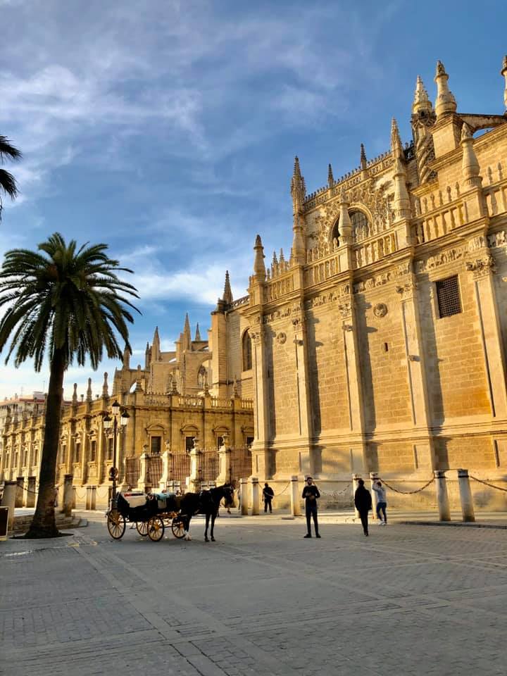 84163323_10163279665675604_5354993305148981248_n