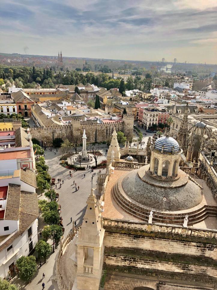 85049214_559202311342556_1559929562106691584_n