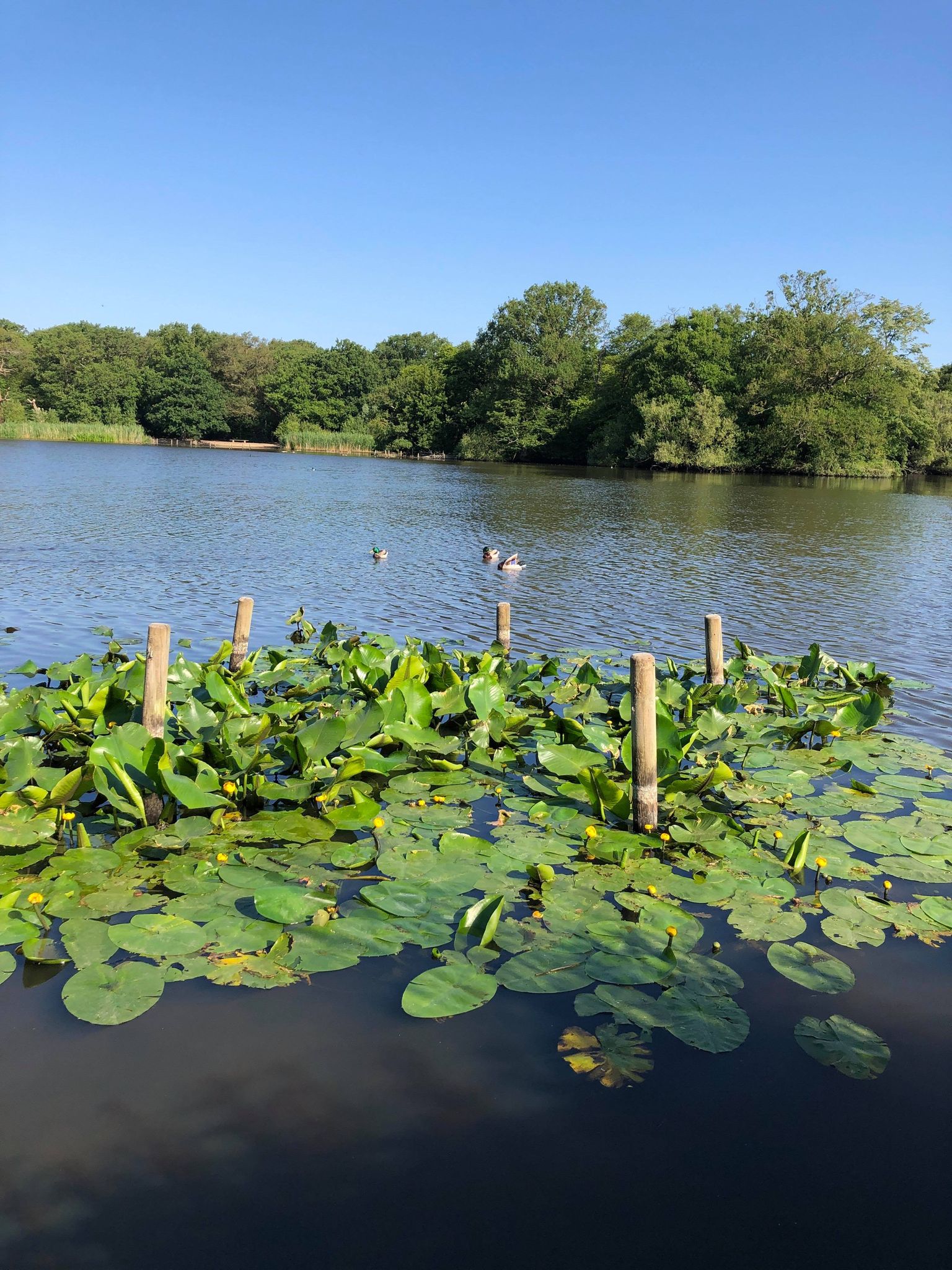 101273479_250983632837654_2488748950337617920_n