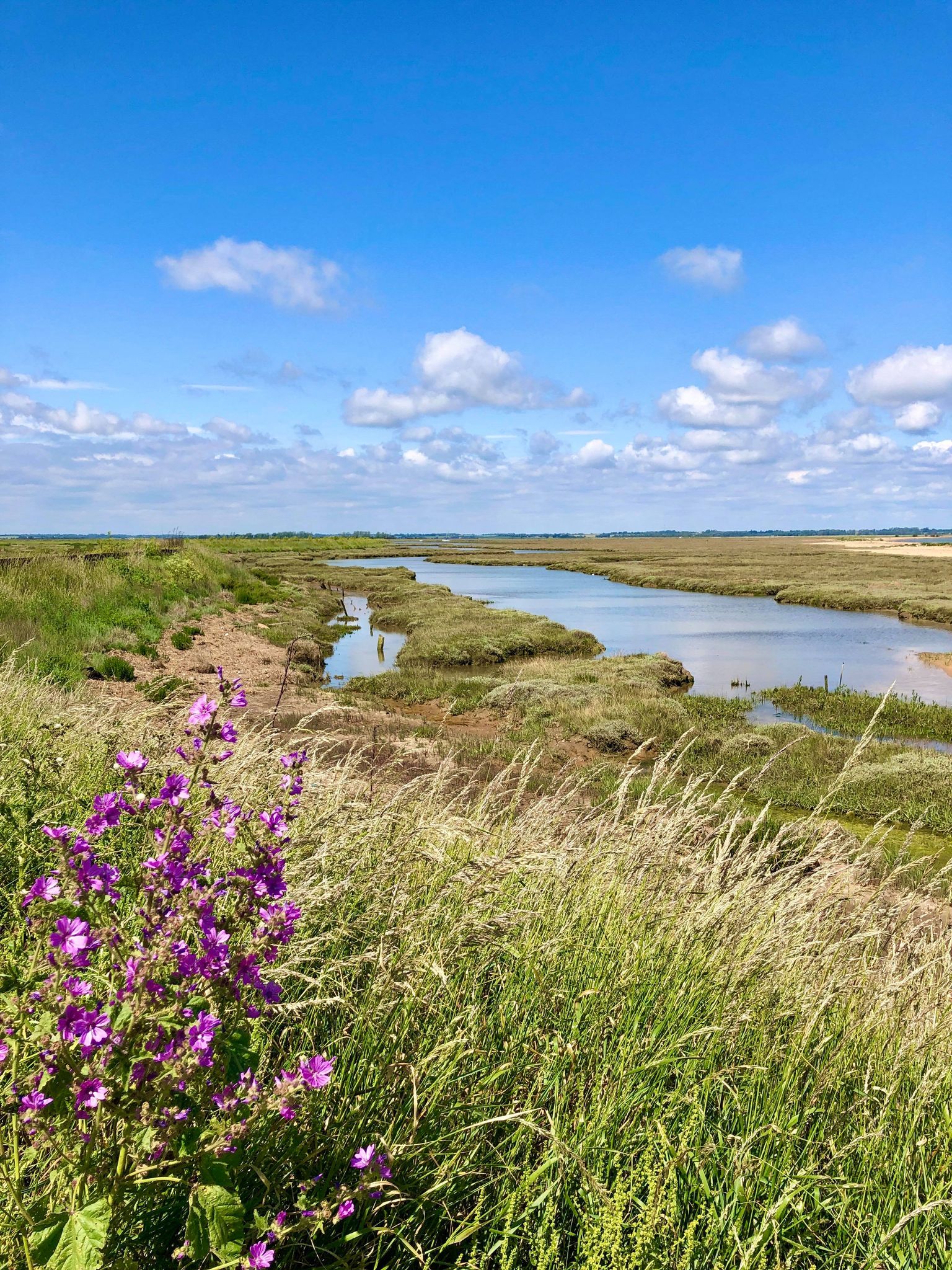 104682988_794618821076316_2959607490931847435_n