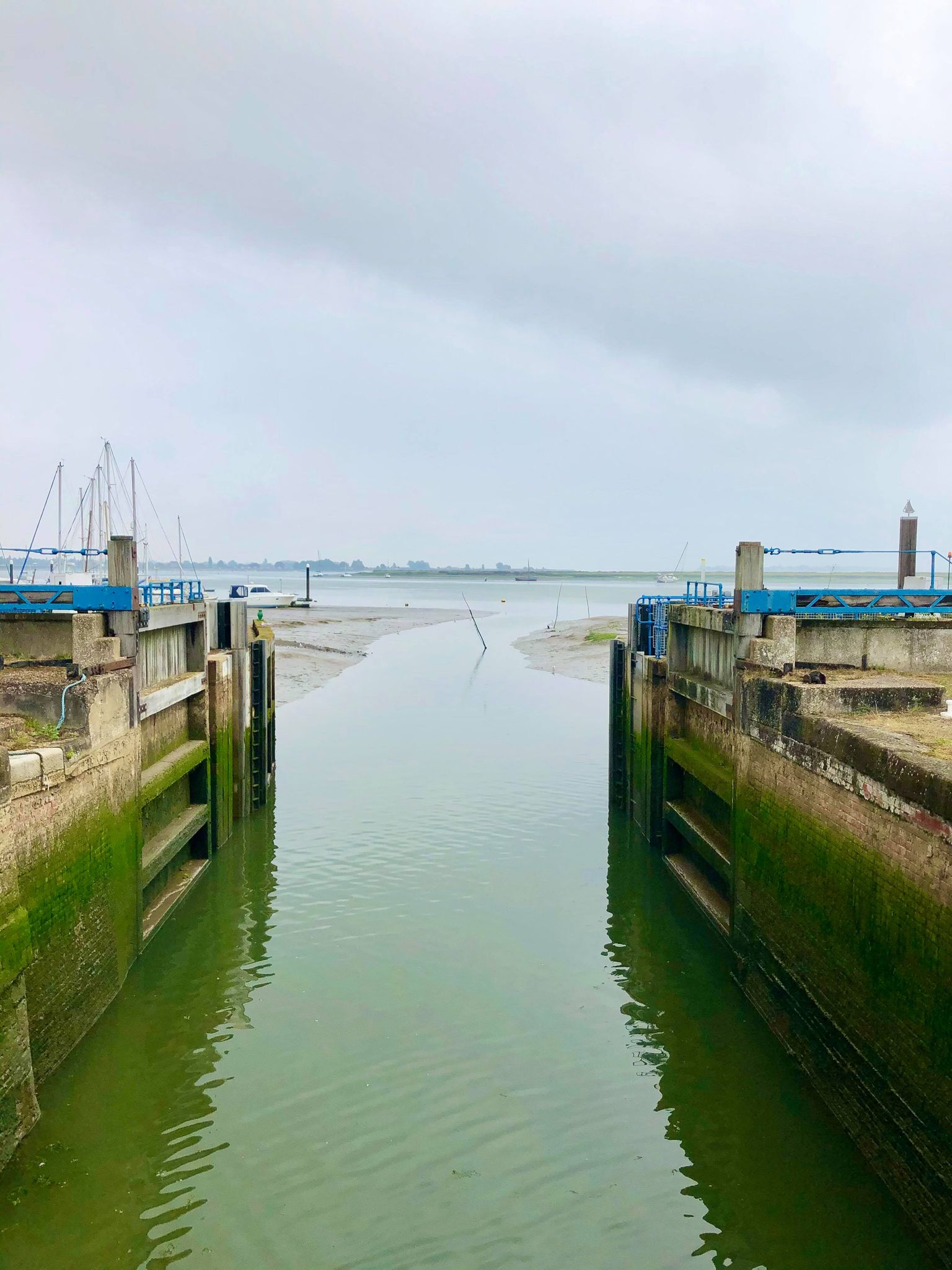 117578413_626304758291070_4244510564086567585_n