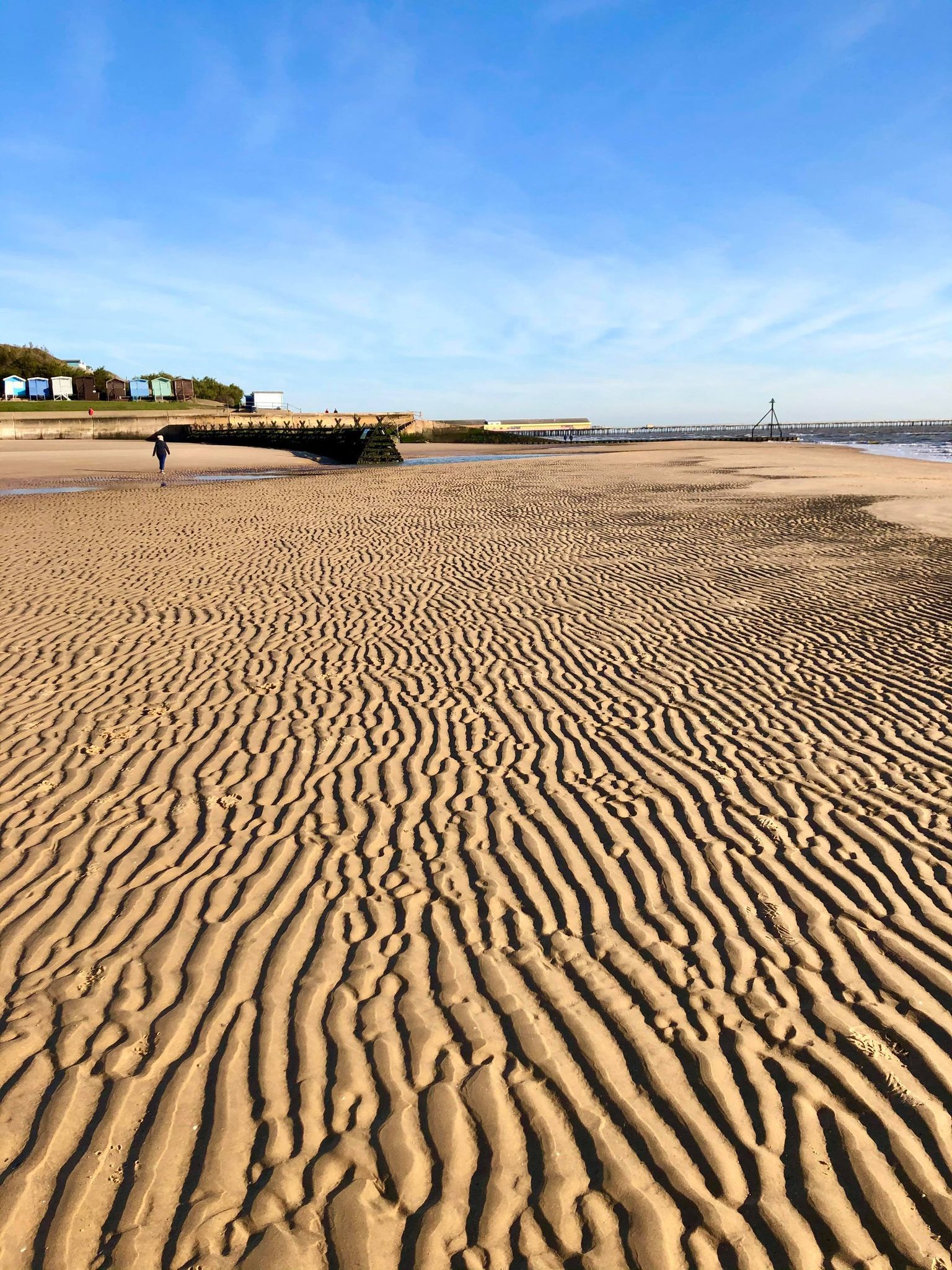 123657705_454433118871312_7850312551129589905_n