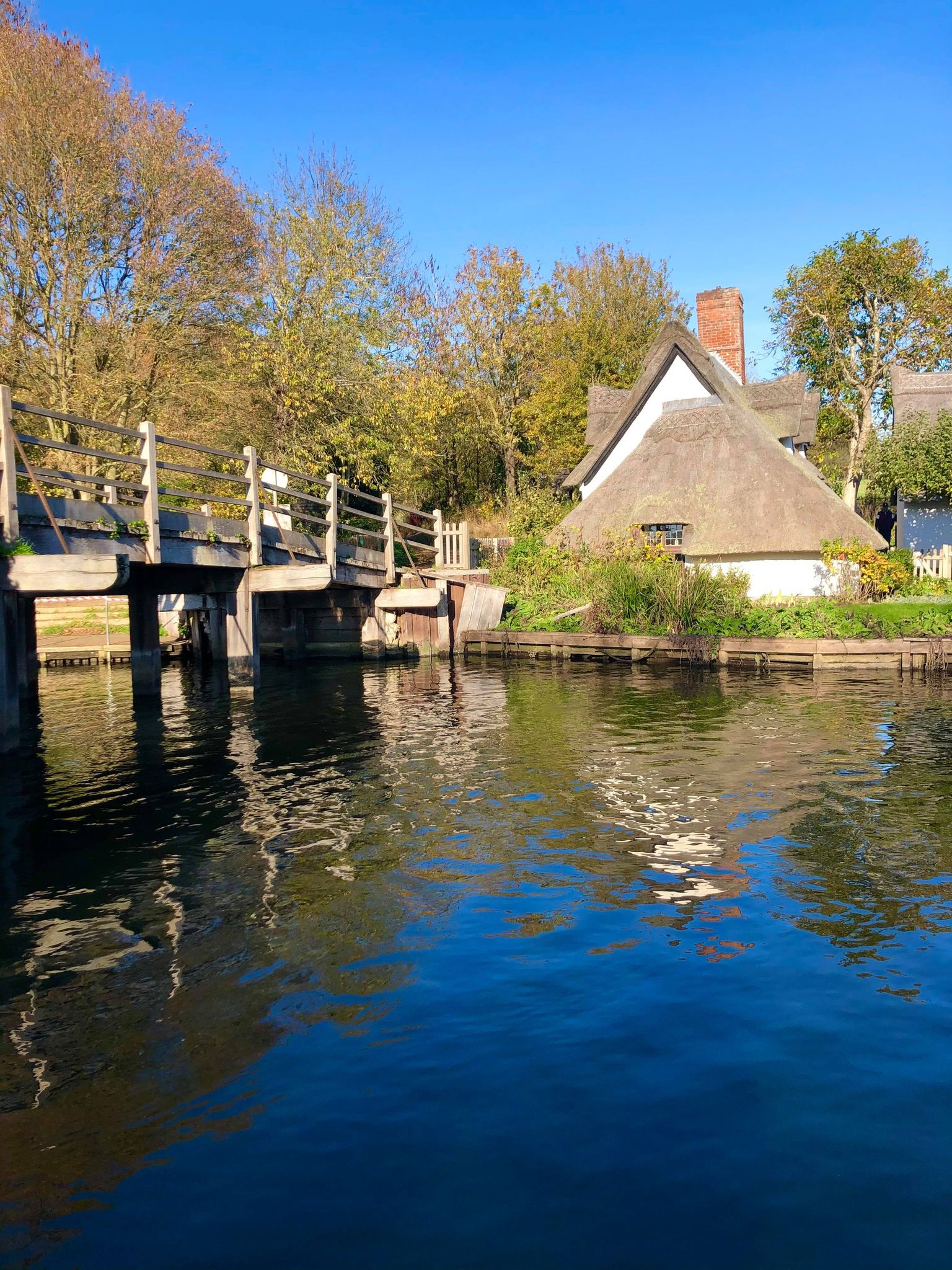 123698084_392587075110923_1880407086660736026_n