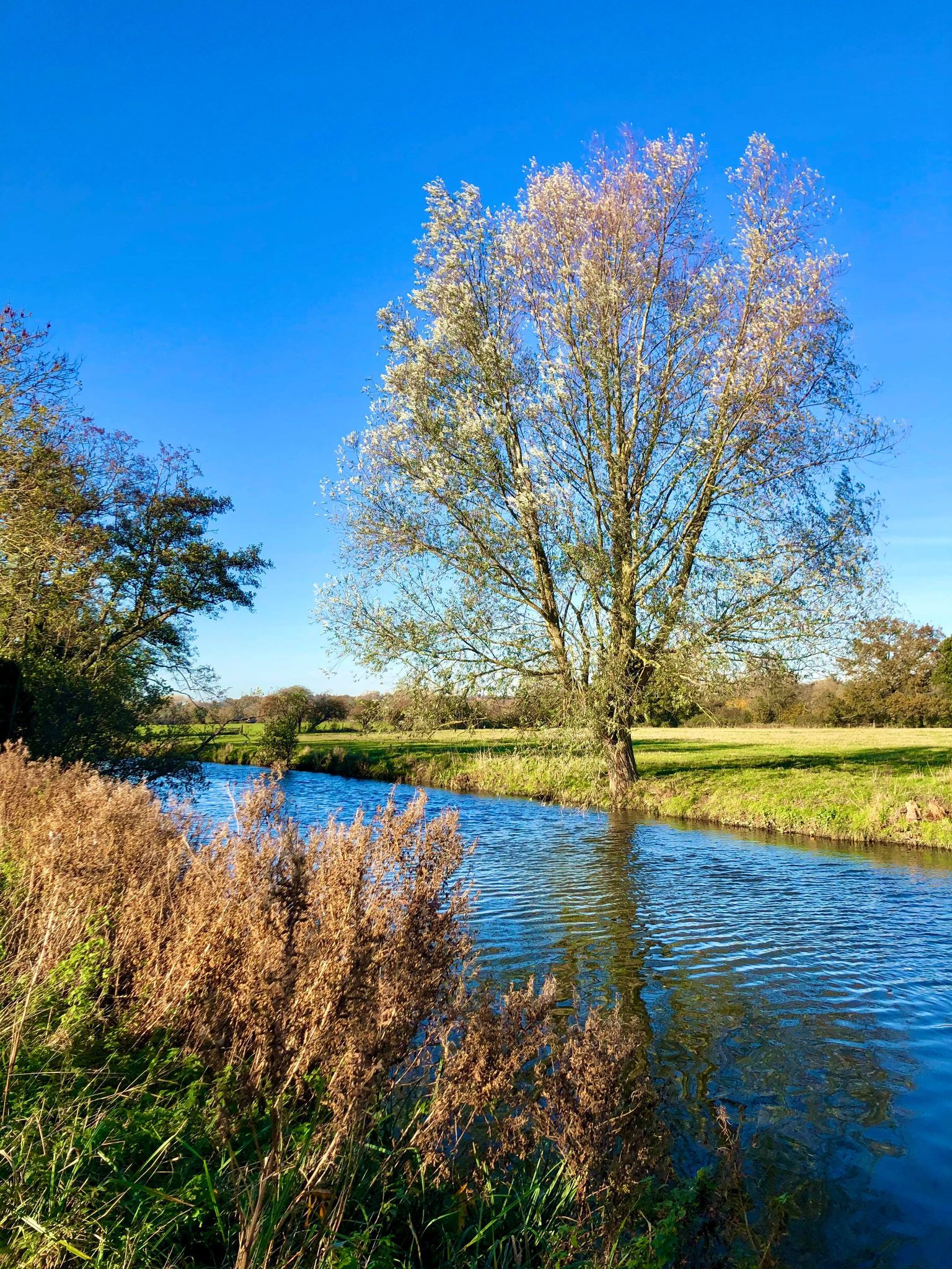 130285612_428030978584261_5807436171219328047_n