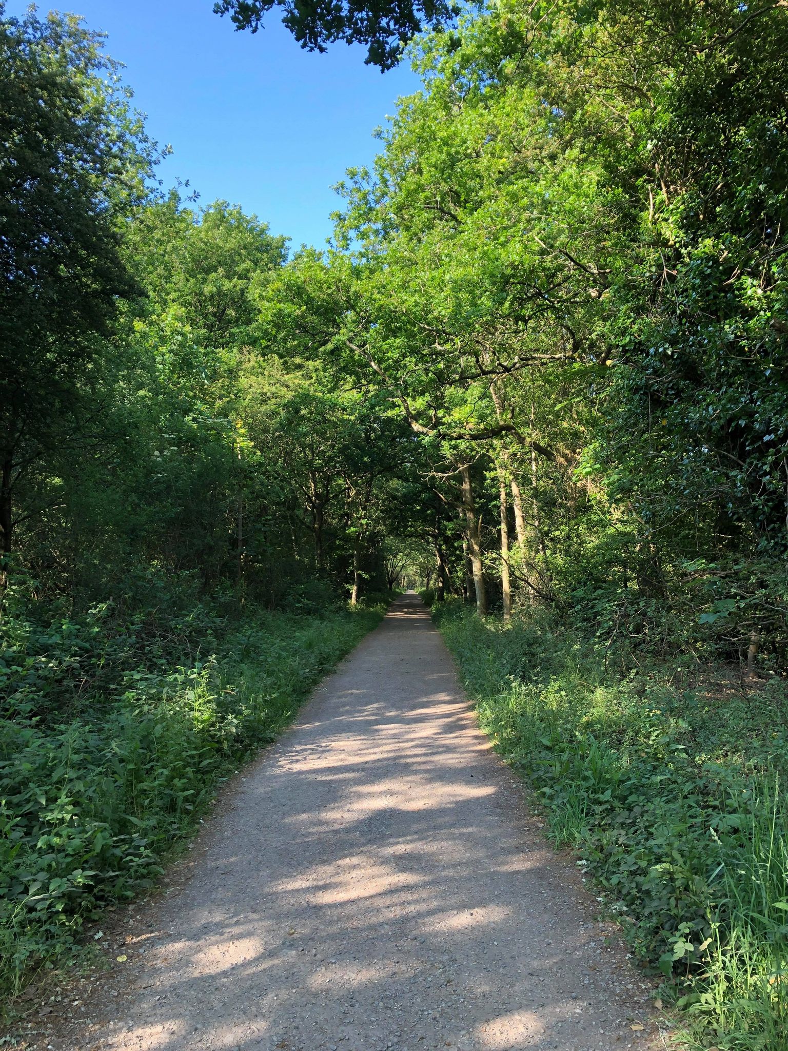 130463078_1094096827695568_7084966610381308320_n