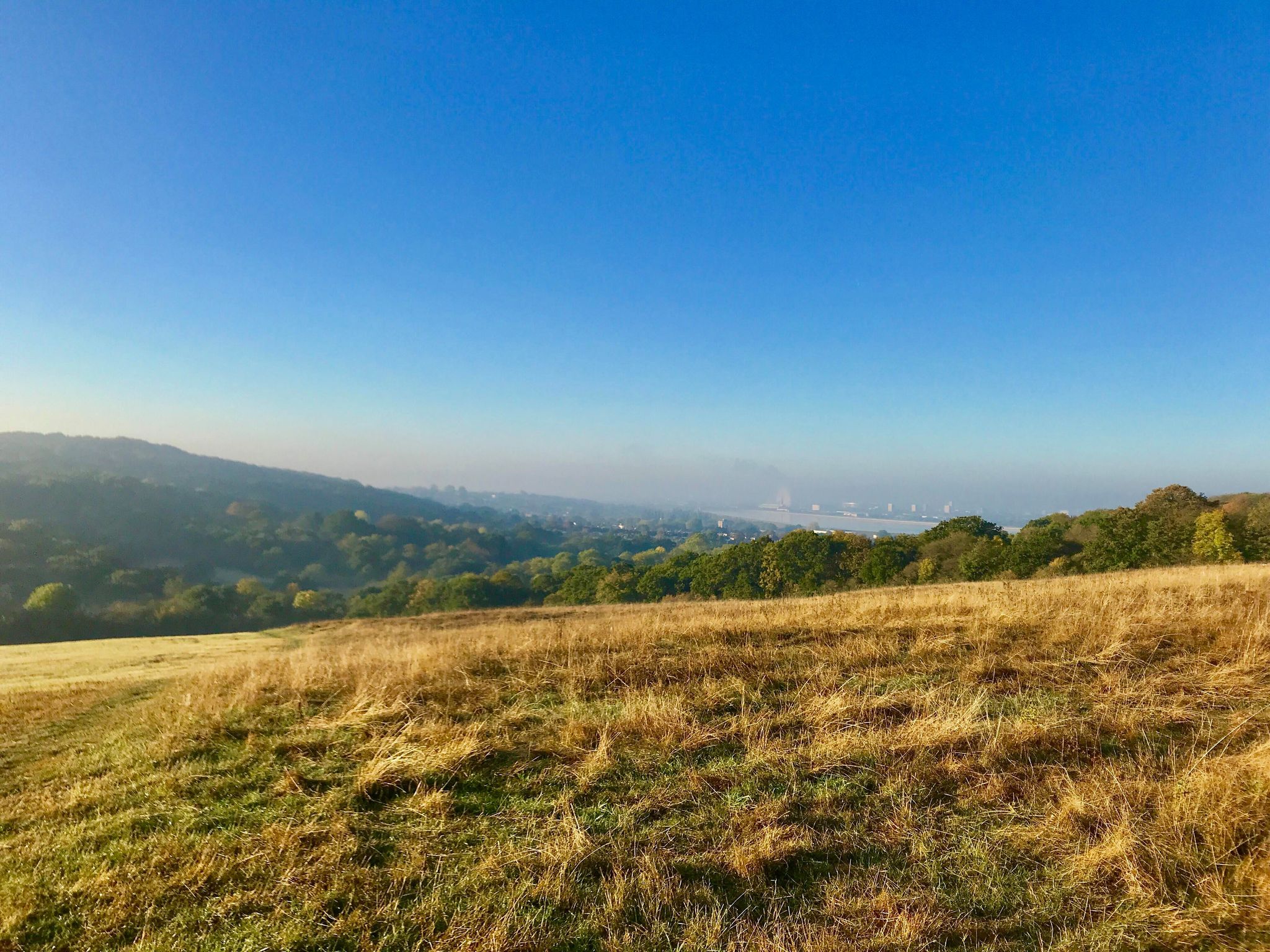 130760450_853086265494172_1621002894784002234_n